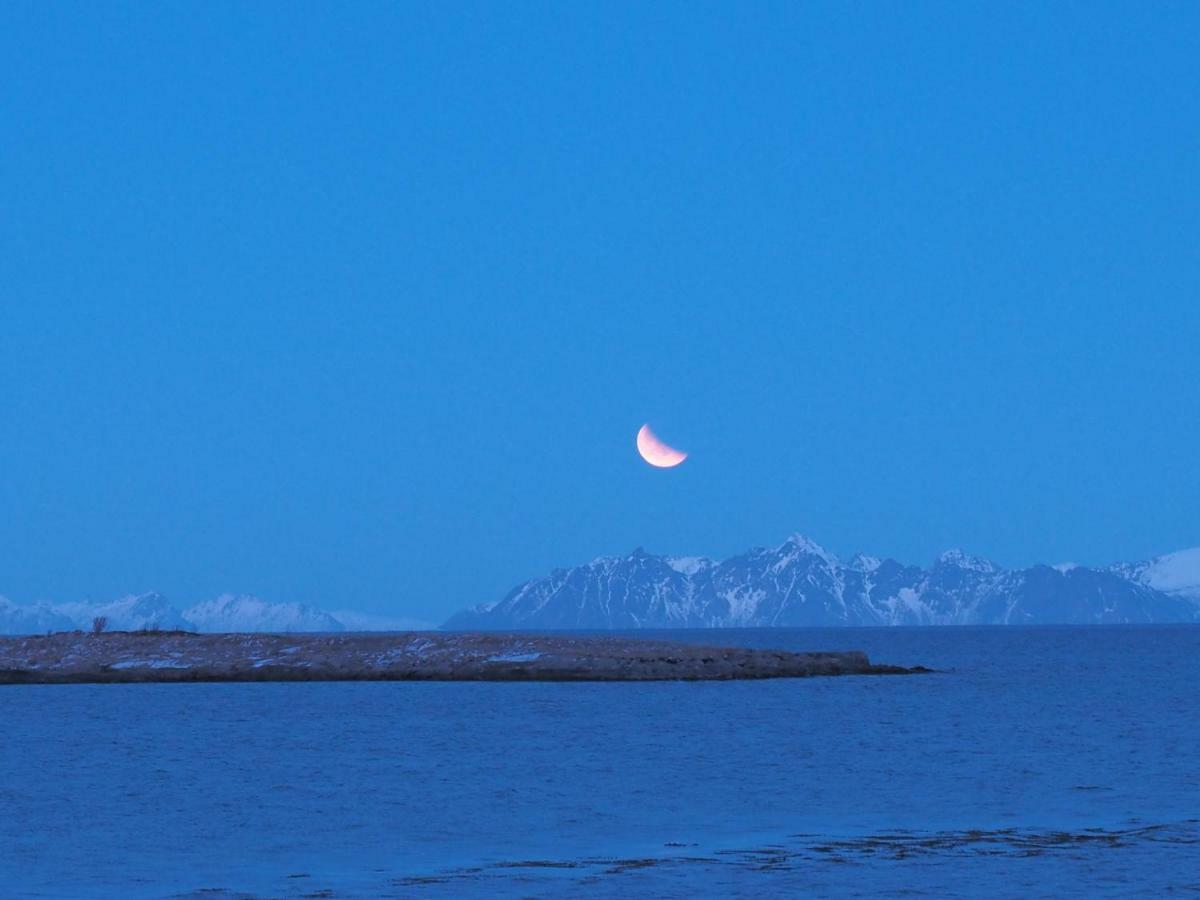 Lofoten Ocean View - Sandoy Gard Sand (Nordland)