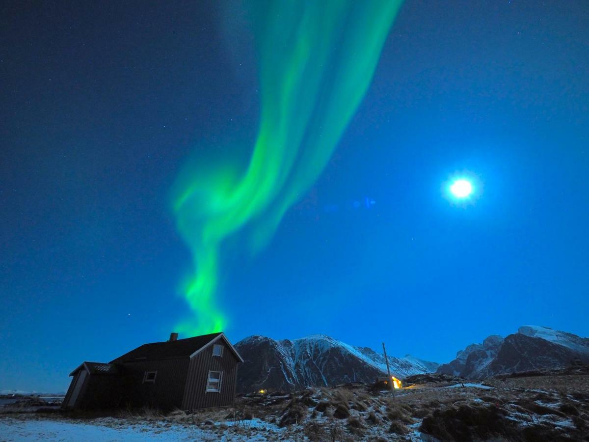 Apartment Lofoten Ocean View - Sandoy Gard Sand (Nordland)
