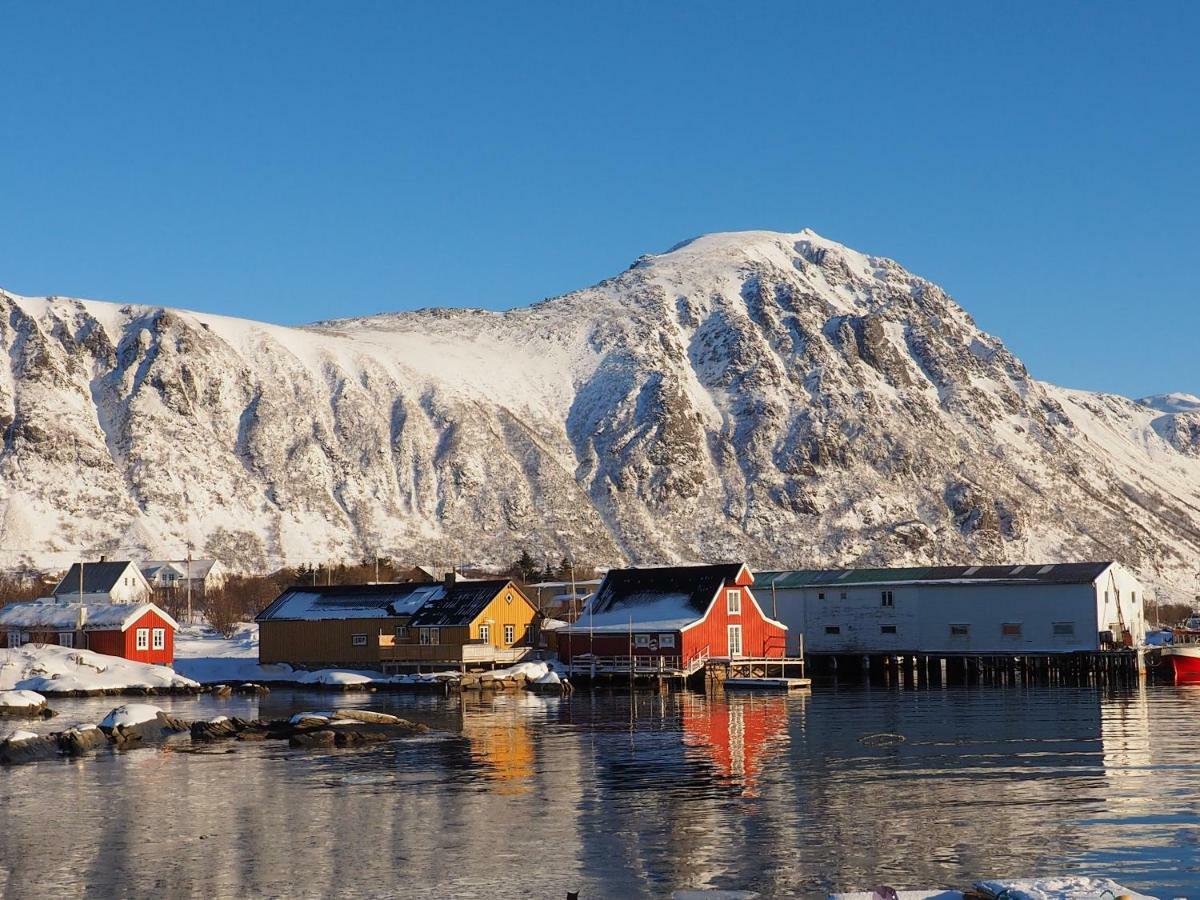Lofoten Ocean View - Sandoy Gard * Sand (Nordland)